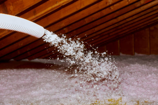 Best Types of Insulation in Cle Elum, WA