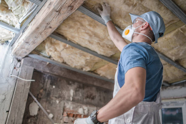 Best Insulation Installation Services in Cle Elum, WA